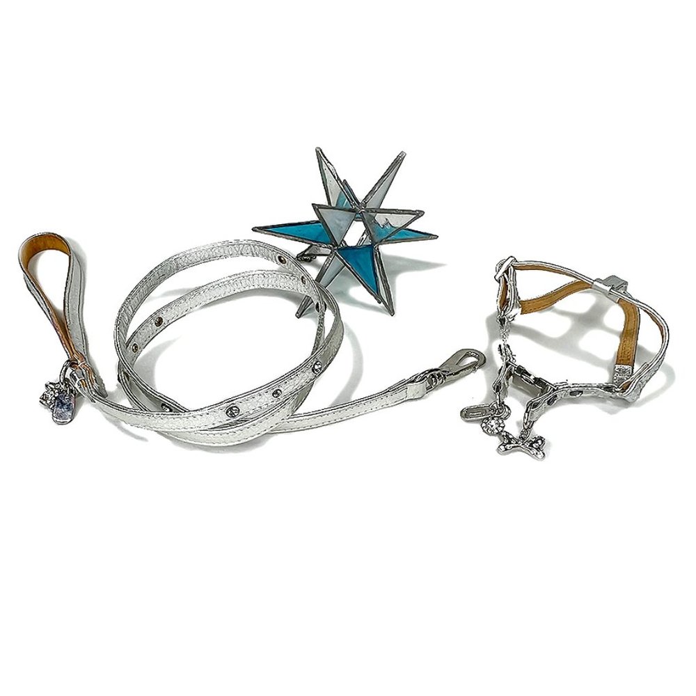 Silver Leather Step-In Harness & Leash Set, XXSmall